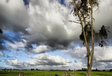 希克上演大四喜 莱沃库森德甲5比1大胜弗赖堡.