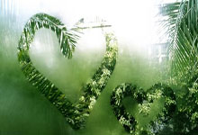 阿根廷提前晋级2026年世界杯,成第4支通过世预赛晋级的球队.